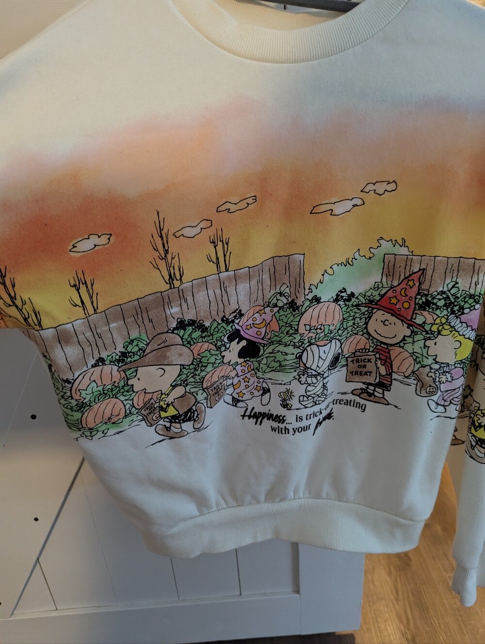 Peanuts Crewneck Sweatshirt